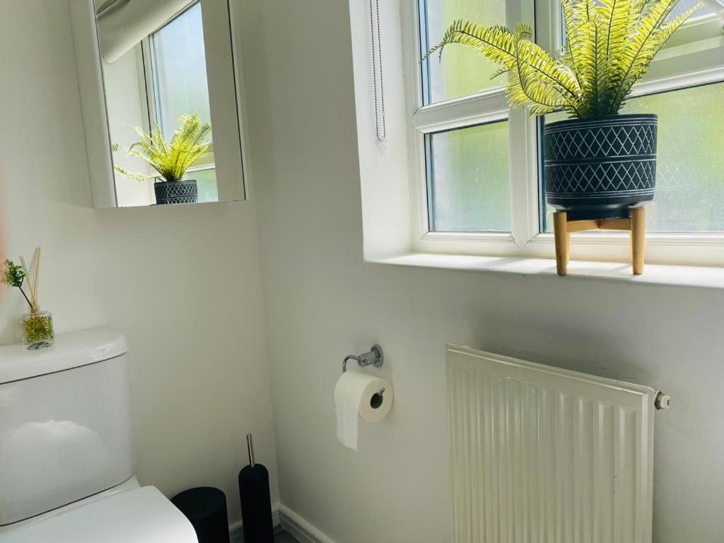 Modern, Stylish And Central Homestay